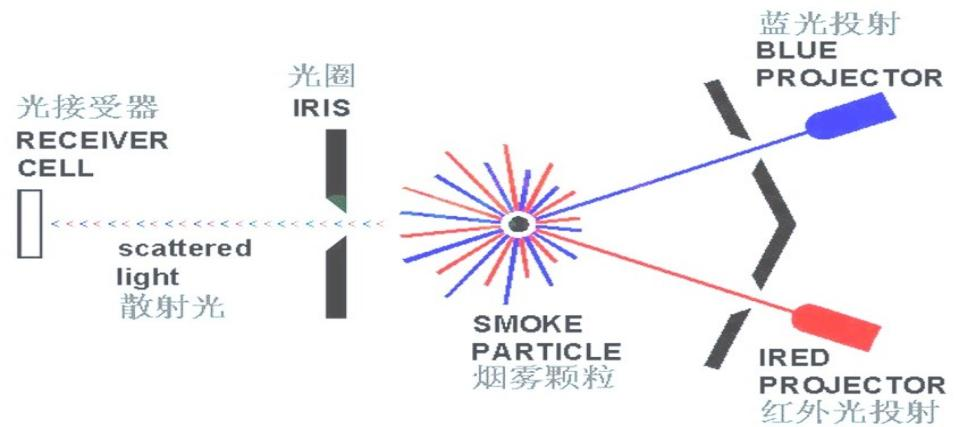 1709539182860386.png 151018198807.png